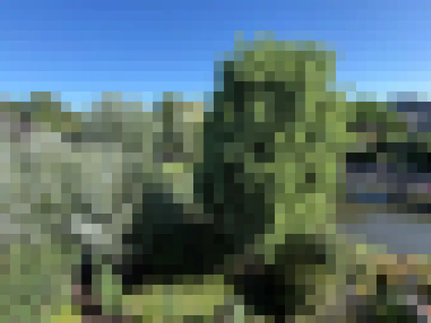 Paradijsselpark 65 Capelle aan den IJssel thumbnail 28