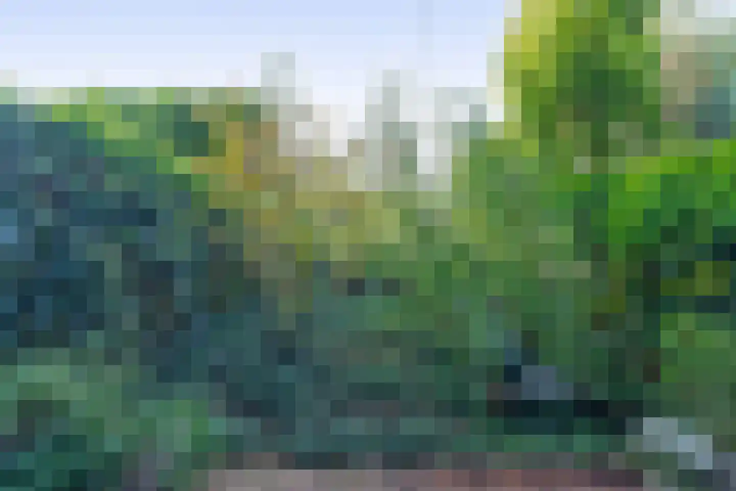 Paradijsselpark 70 Capelle aan den IJssel thumbnail 48