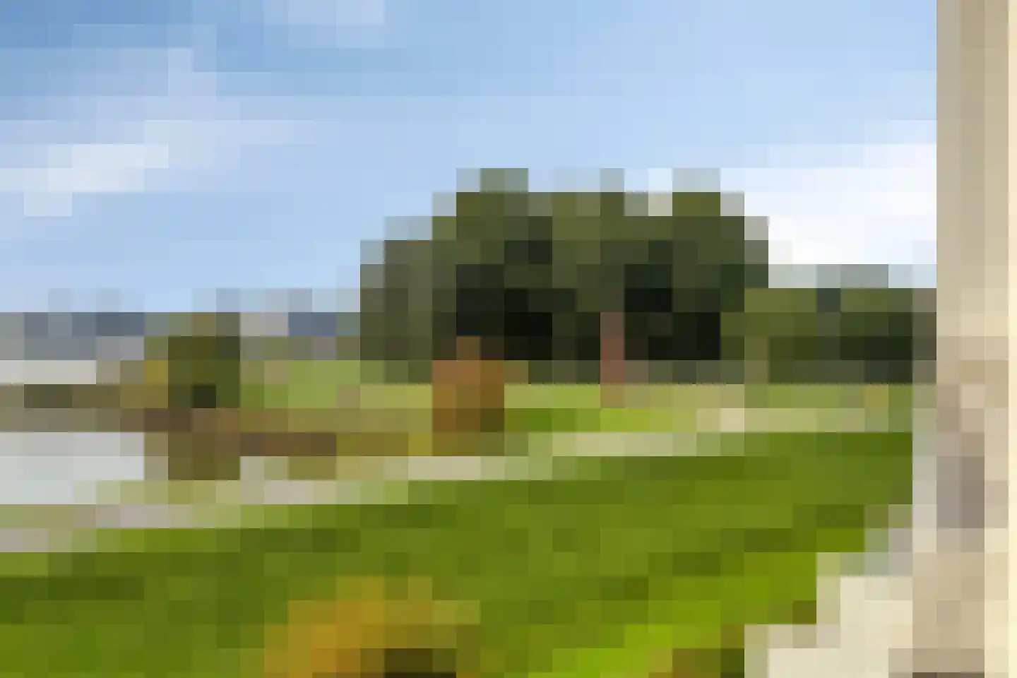 Paradijsselpark 74 Capelle aan den IJssel thumbnail 32