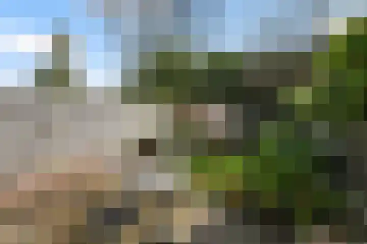 Paradijsstraat 105 Voorburg thumbnail 20