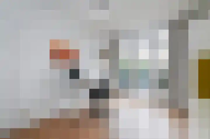 Paradijsstraat 105 Voorburg thumbnail 33