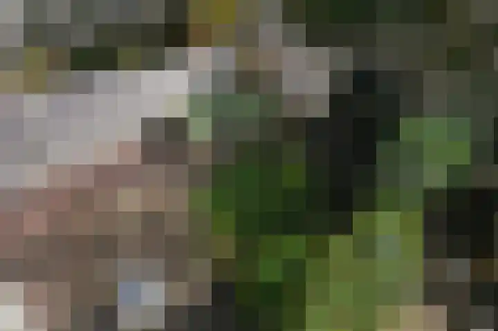 Paradijsstraat 105 Voorburg thumbnail 38
