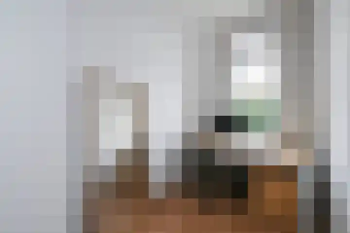 Paradijsstraat 105 Voorburg thumbnail 39