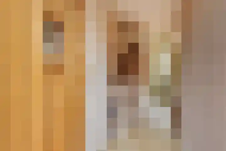 Paradijsstraat 29 Voorburg thumbnail 10