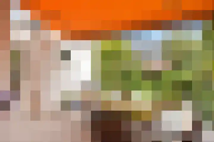 Paradijsstraat 29 Voorburg thumbnail 19