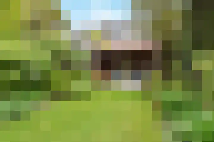 Paradijsstraat 29 Voorburg thumbnail 23