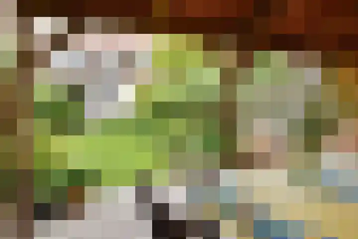 Paradijsstraat 29 Voorburg thumbnail 25