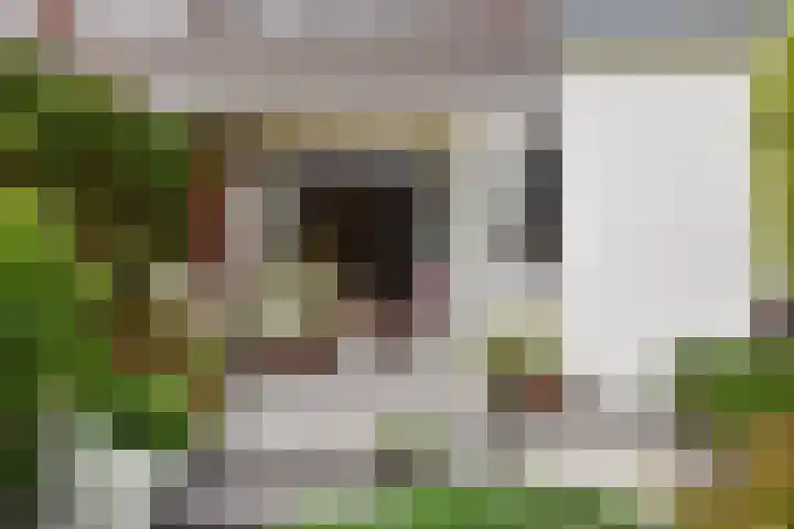 Paradijsstraat 29 Voorburg thumbnail 27
