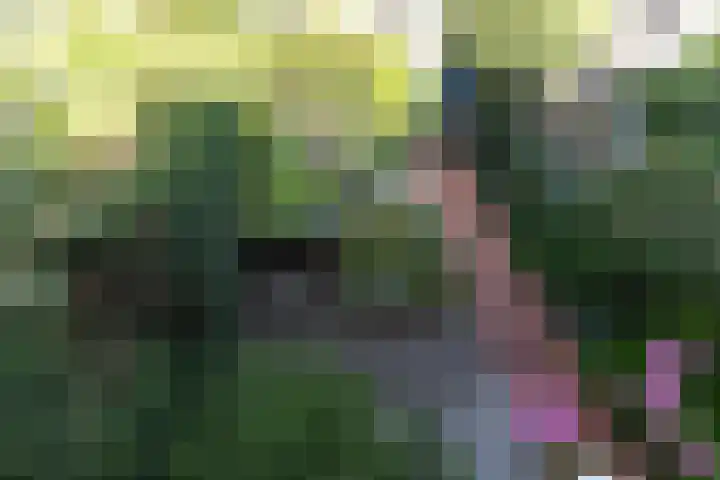 Paradijsstraat 29 Voorburg thumbnail 40