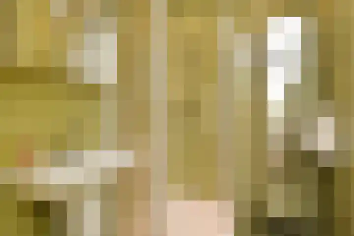 Paradijsstraat 29 Voorburg thumbnail 41