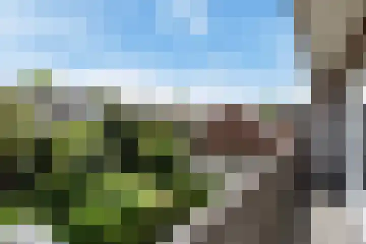 Paradijsstraat 29 Voorburg thumbnail 46