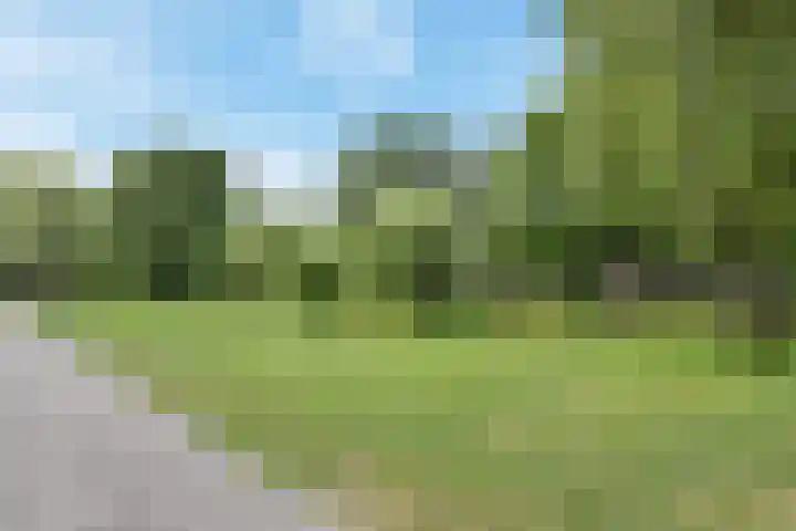 Paradijsstraat 29 Voorburg thumbnail 58