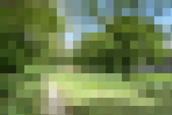 Paradijsstraat 29 Voorburg thumbnail 59