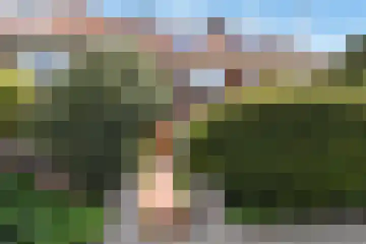 Paradijsstraat 29 Voorburg thumbnail 7