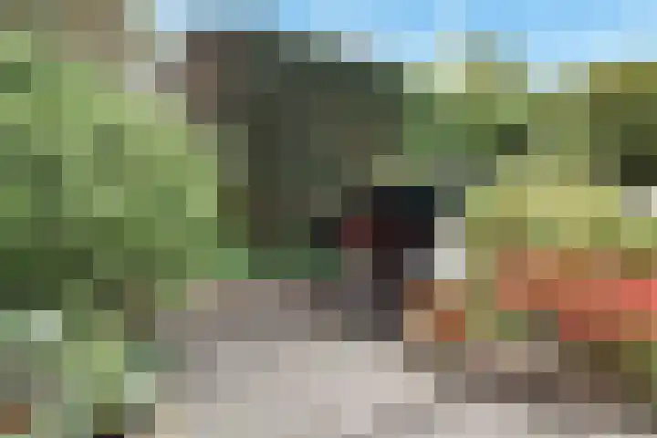 Paradijsstraat 29 Voorburg thumbnail 9