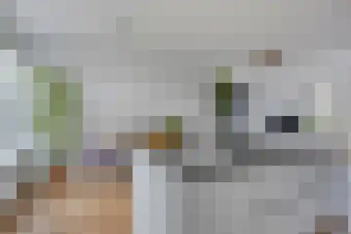 Paradijsstraat 33 Zuidland thumbnail 10