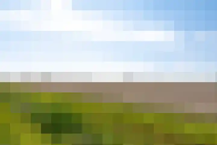 Paradijsstraat 33 Zuidland thumbnail 32