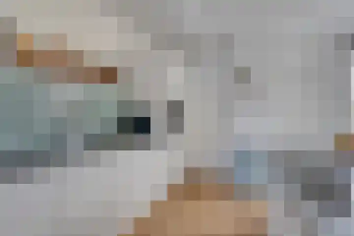 Paradijsstraat 33 Zuidland thumbnail 9