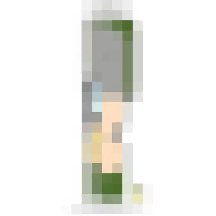 Paradijsstraat 85 Voorburg thumbnail 31