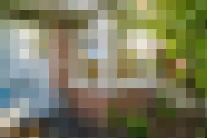 Paradijsstraat 85 Voorburg thumbnail 5