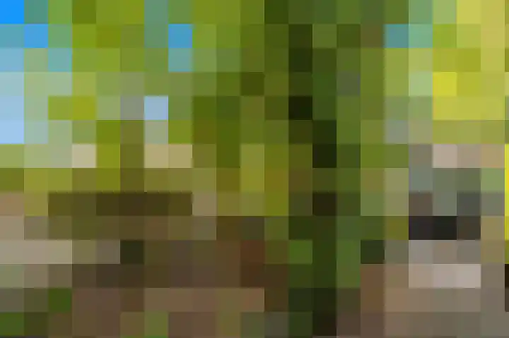 Paradijsstraat 85 Voorburg thumbnail 6