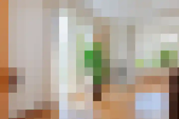 Paradijsvogel 1 Heerhugowaard thumbnail 12