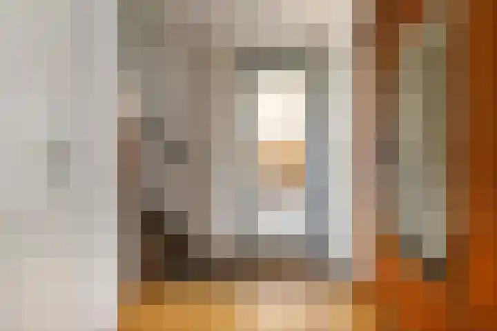 Paradijsvogel 1 Heerhugowaard thumbnail 13