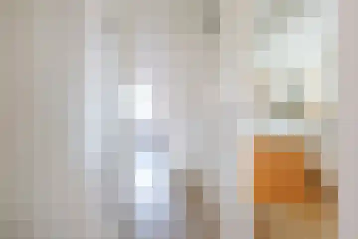 Paradijsvogel 1 Heerhugowaard thumbnail 15