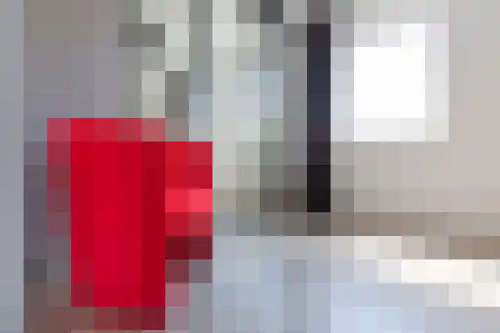 Paradijsvogel 1 Heerhugowaard thumbnail 19