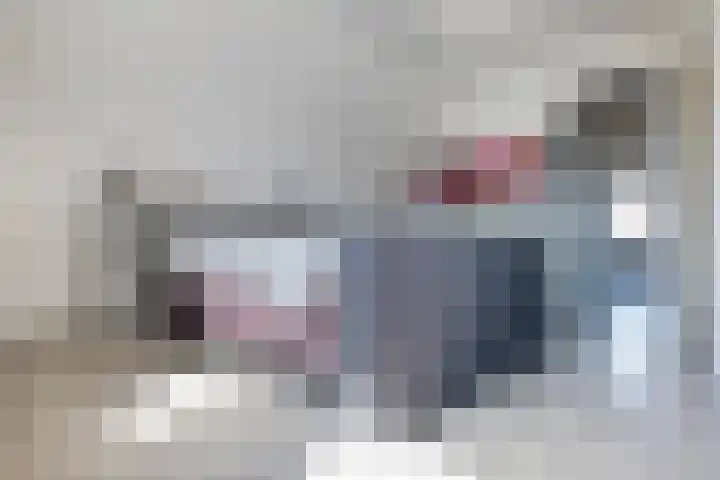 Paradijsvogel 1 Heerhugowaard thumbnail 20