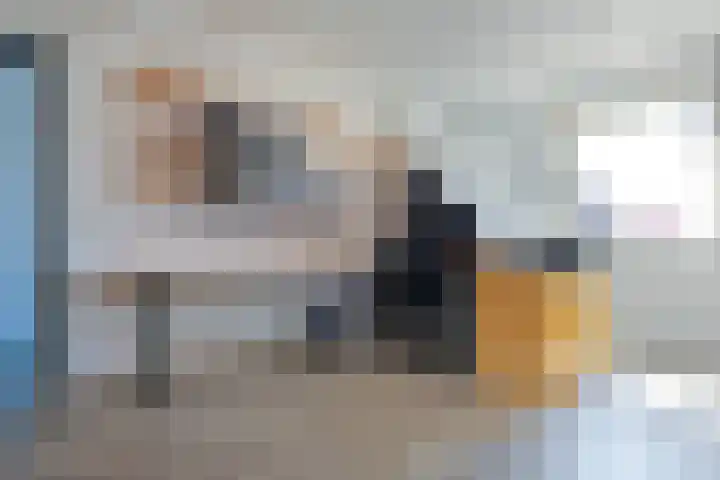 Paradijsvogel 1 Heerhugowaard thumbnail 22