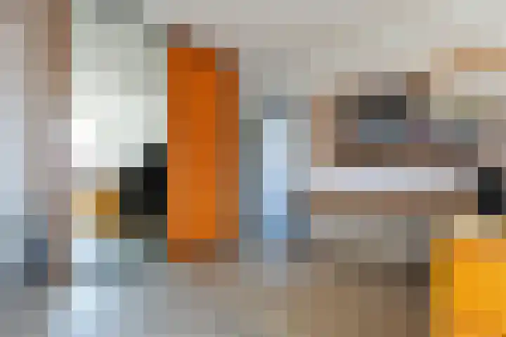 Paradijsvogel 1 Heerhugowaard thumbnail 23