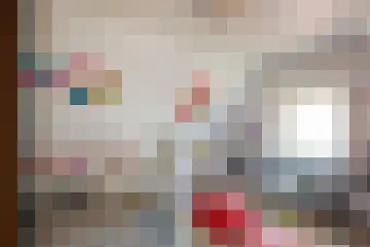 Paradijsvogel 1 Heerhugowaard thumbnail 24