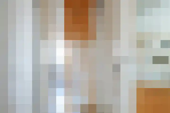 Paradijsvogel 1 Heerhugowaard thumbnail 27