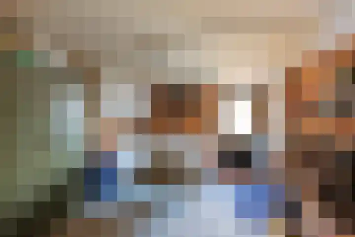 Paradijsvogel 1 Heerhugowaard thumbnail 29