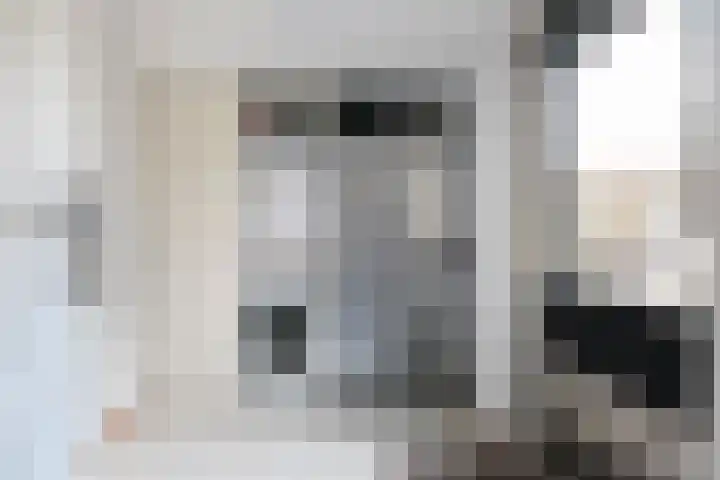 Paradijsvogel 1 Heerhugowaard thumbnail 30