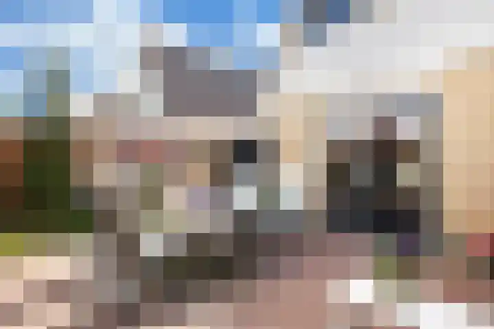 Paradijsvogel 1 Heerhugowaard thumbnail 31