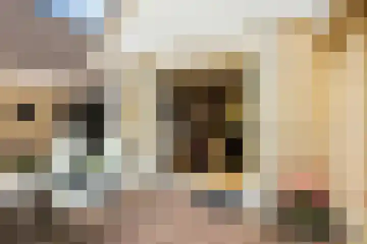 Paradijsvogel 1 Heerhugowaard thumbnail 32