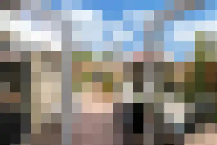 Paradijsvogel 1 Heerhugowaard thumbnail 33