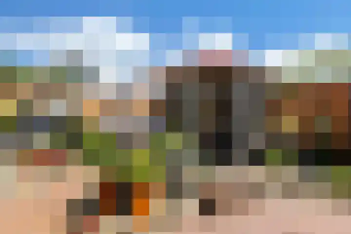 Paradijsvogel 1 Heerhugowaard thumbnail 34