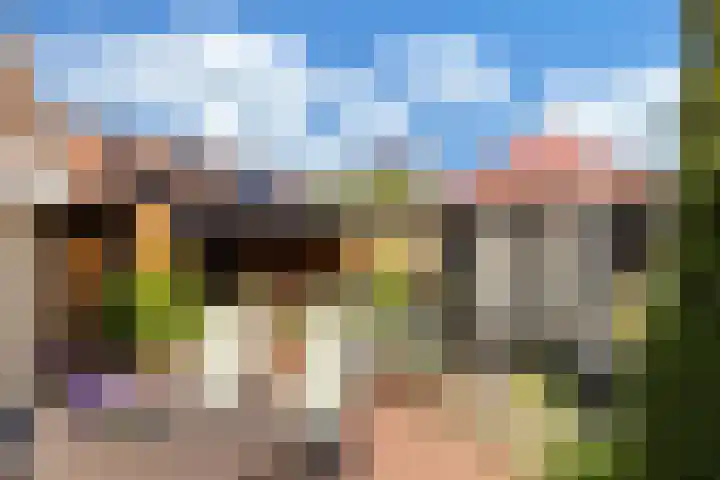 Paradijsvogel 1 Heerhugowaard thumbnail 35