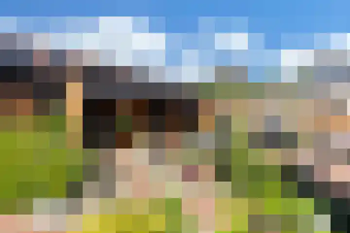 Paradijsvogel 1 Heerhugowaard thumbnail 36