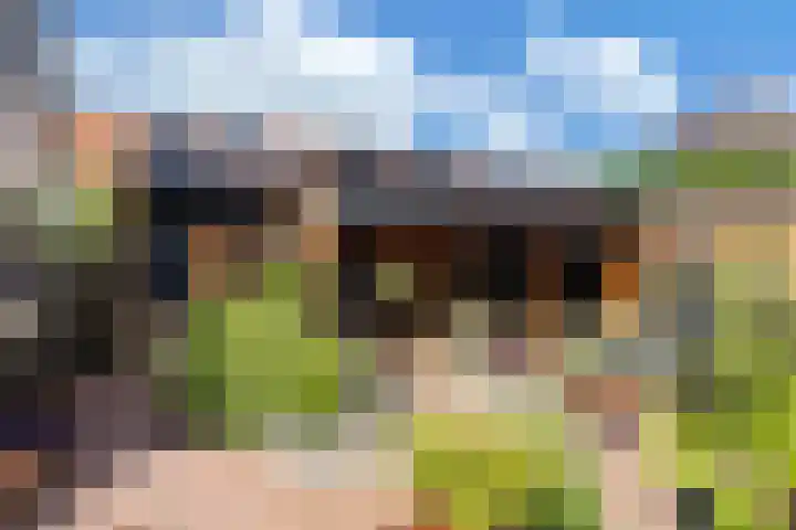 Paradijsvogel 1 Heerhugowaard thumbnail 37