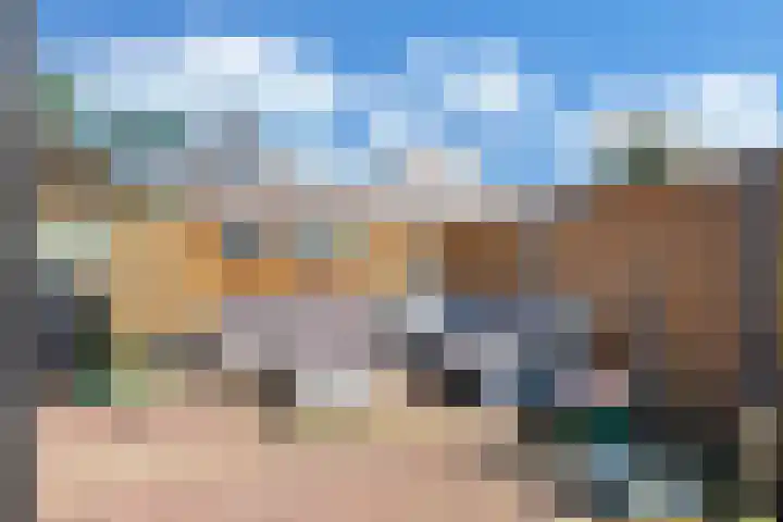 Paradijsvogel 1 Heerhugowaard thumbnail 38