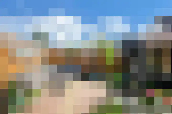 Paradijsvogel 1 Heerhugowaard thumbnail 39