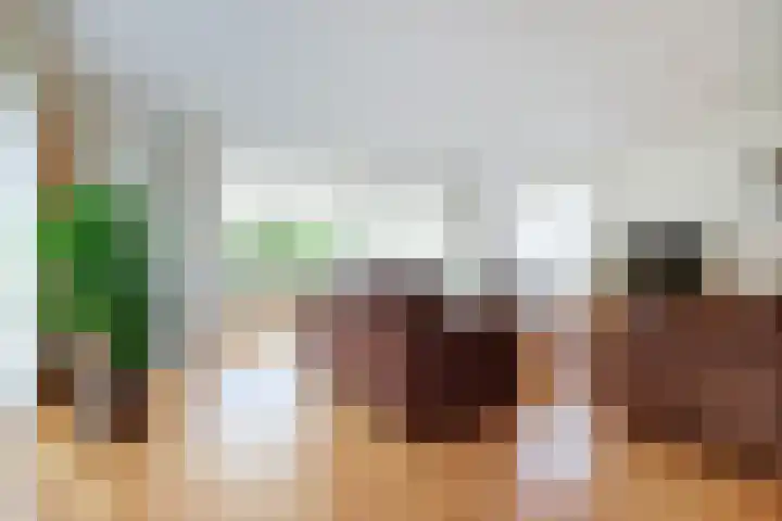 Paradijsvogel 1 Heerhugowaard thumbnail 4