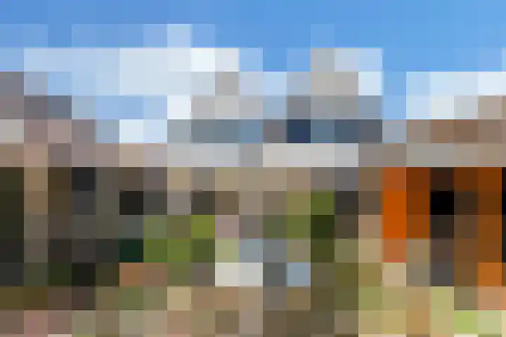 Paradijsvogel 1 Heerhugowaard thumbnail 40