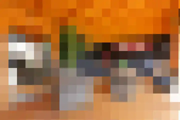 Paradijsvogel 1 Heerhugowaard thumbnail 41