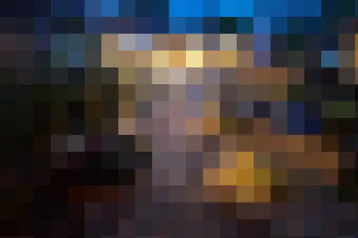 Paradijsvogel 1 Heerhugowaard thumbnail 43