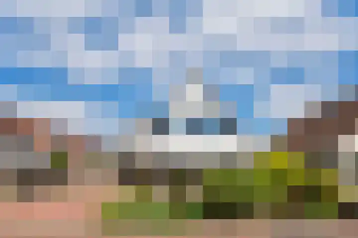 Paradijsvogel 1 Heerhugowaard thumbnail 47